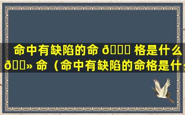 命中有缺陷的命 🐋 格是什么 🌻 命（命中有缺陷的命格是什么命格呢）